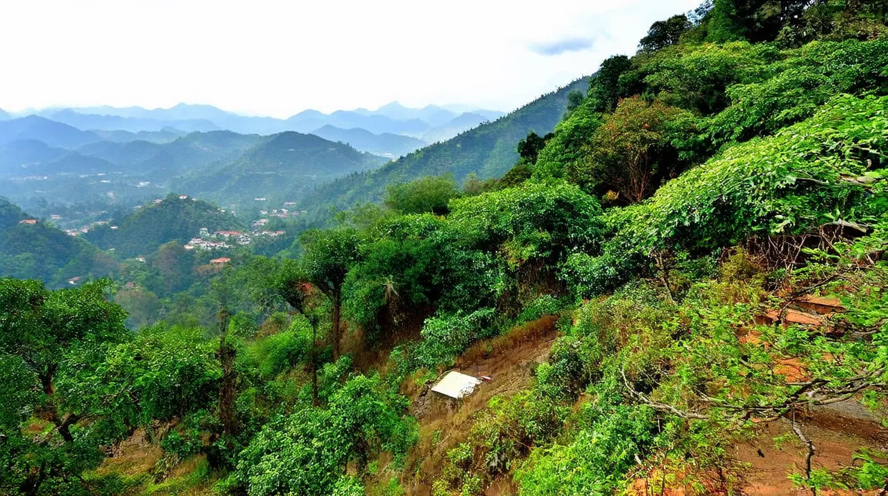 Kodaikanal (Kodai) Experiences: Unforgettable Adventures Await