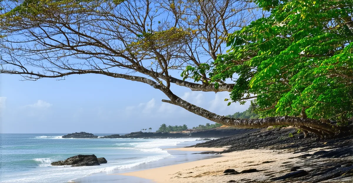 Kovalam Itinerary: 4 Days of Coastal Bliss