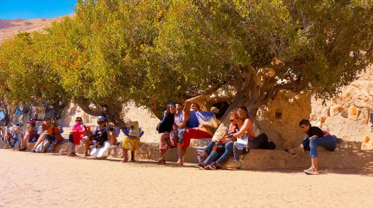 La Paz Experiences: Top 10 Unforgettable Adventures