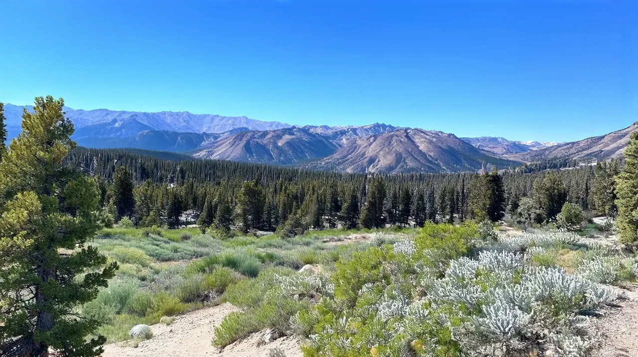 Mammoth Lakes Activities: 10 Outdoor Adventures to Experience