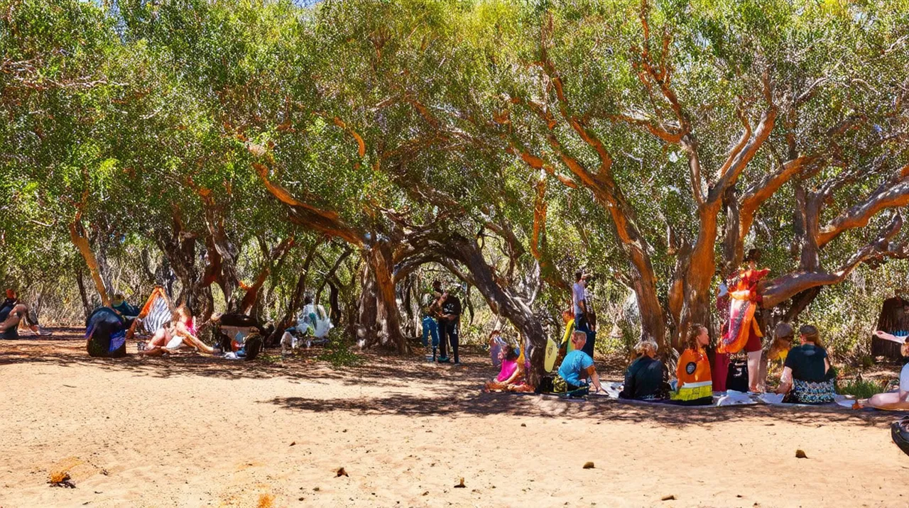 Margaret River Culture: 10 Unique Experiences to Enjoy