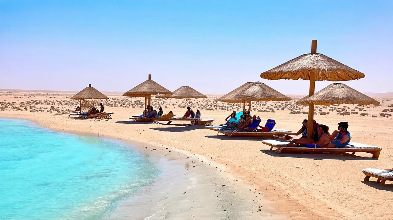 Marsa Alam Activities: Top 10 Experiences in Paradise