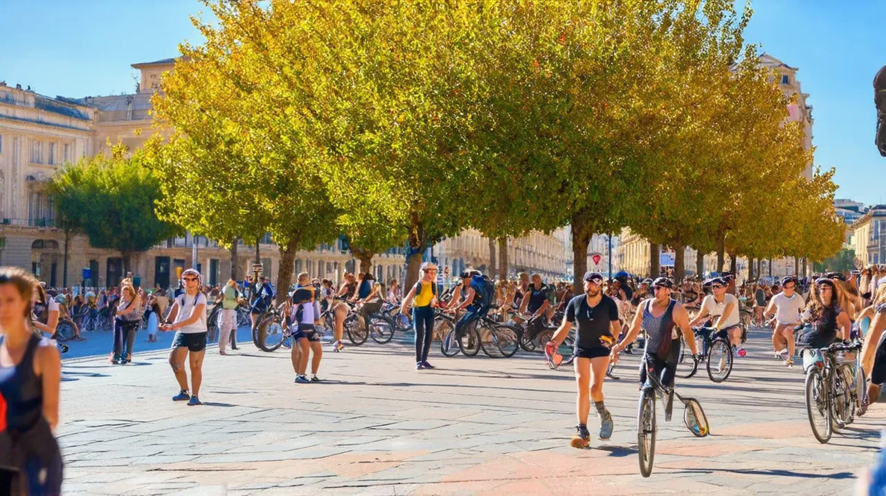 Montpellier Activities: 10 Unforgettable Experiences