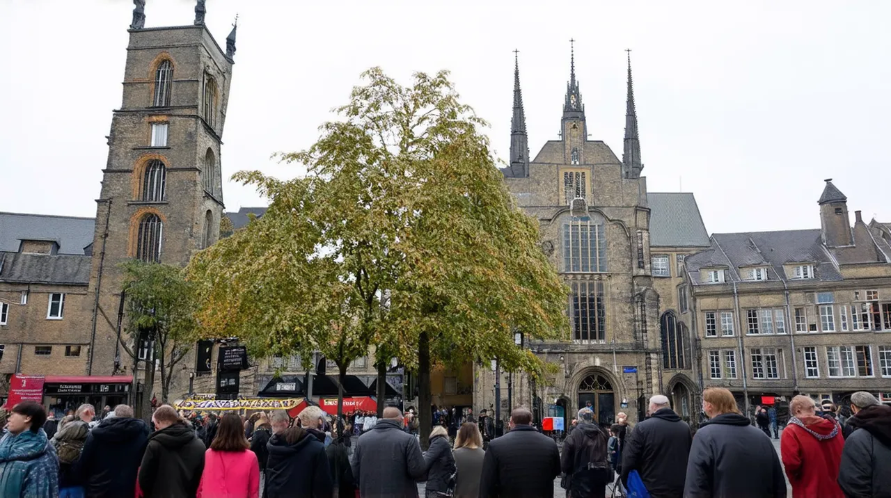 Münster Culture: 10 Unique Experiences to Discover
