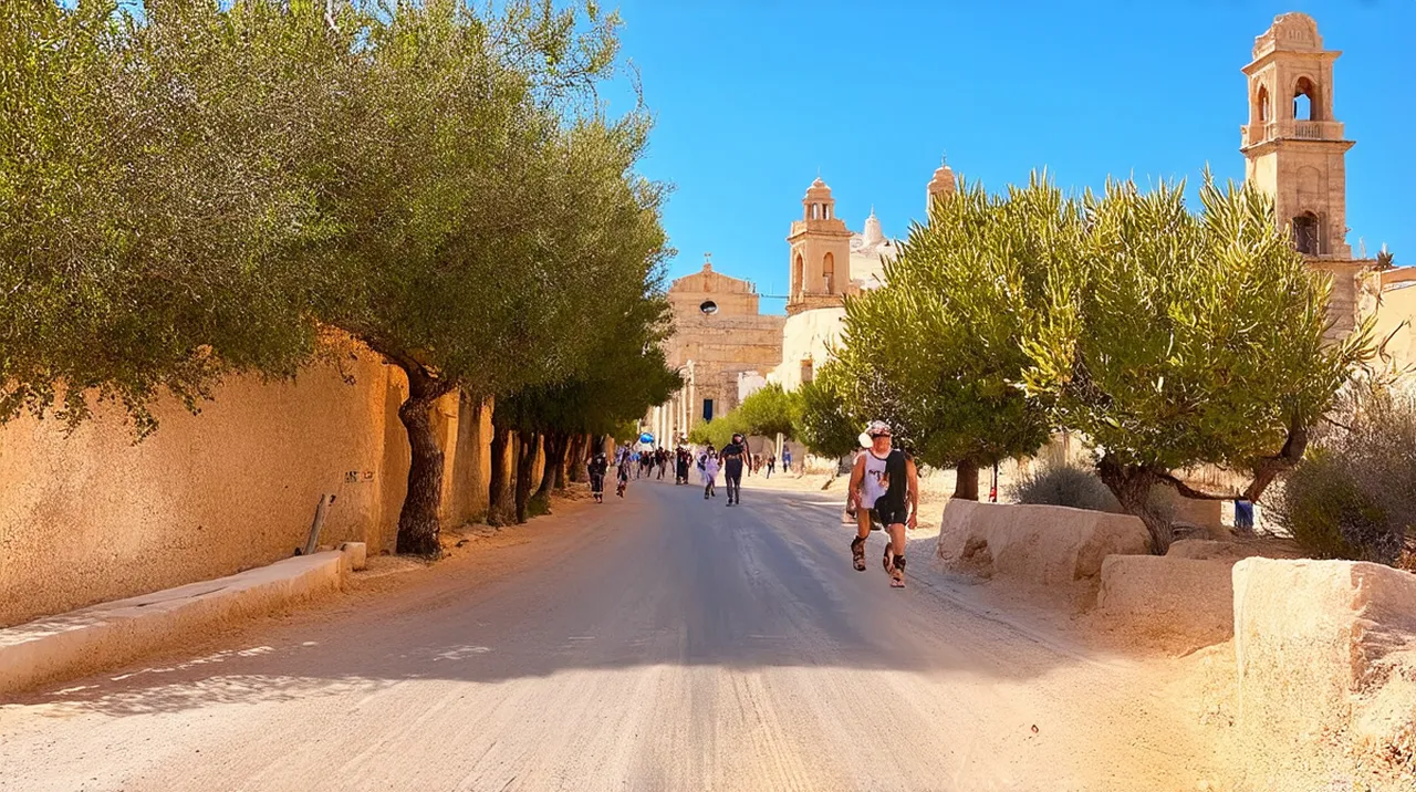 Murcia Activities: 10 Unforgettable Experiences to Enjoy