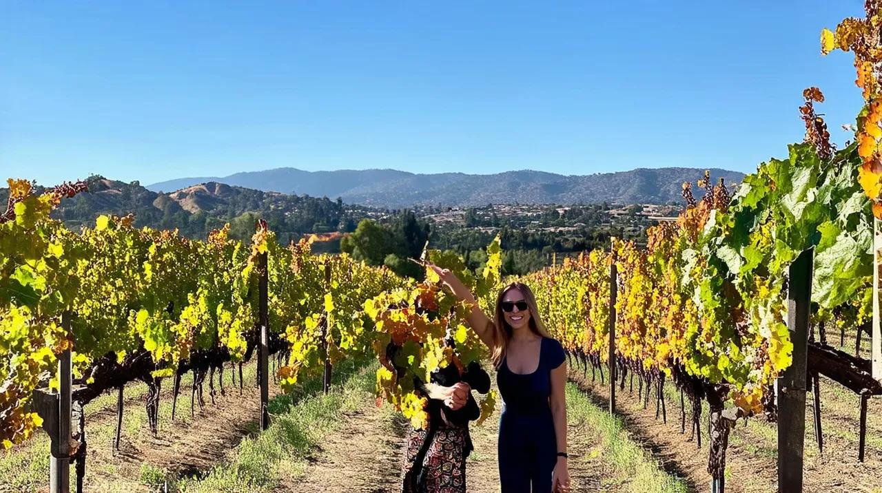 Napa Highlights: Discover Top 10 Experiences in Wine Country