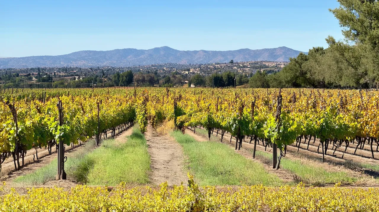 Napa Landmarks: Exploring the Top 10 Must-See Sites
