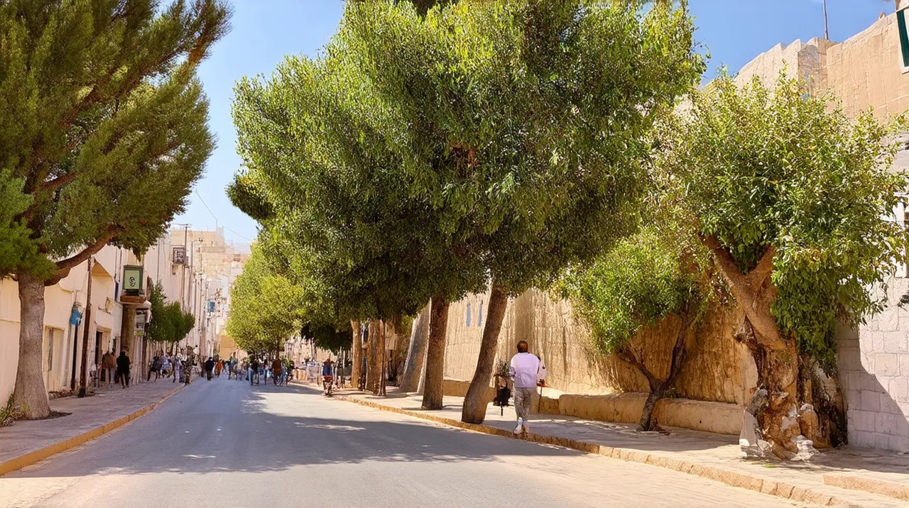 Nicosia (Lefkosia) Experiences: 10 Unique Adventures
