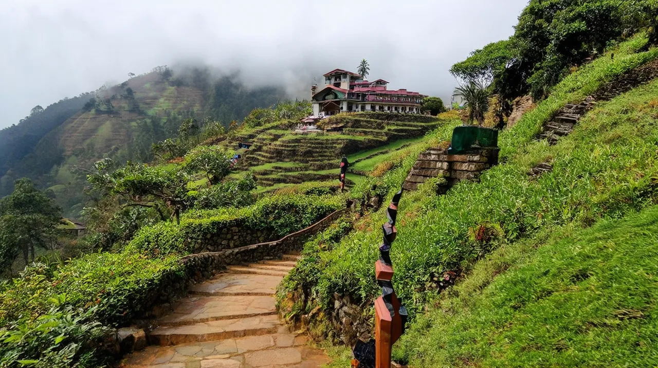 Nuwara Eliya Adventures: Your Guide to Fun Activities