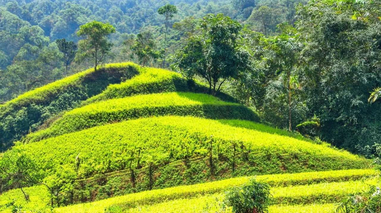 Ooty Activities: Top 10 Things to Do in Udhagamandalam