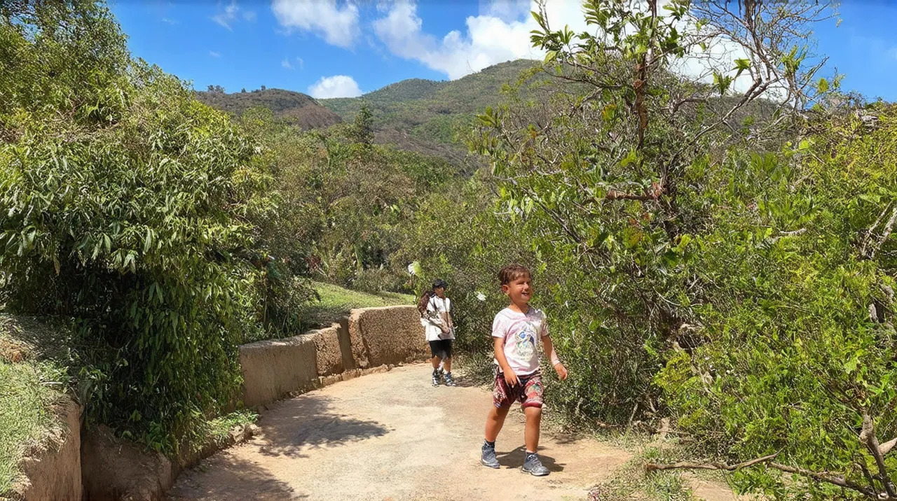 Peso da Régua Activities: Top 10 Things to Do