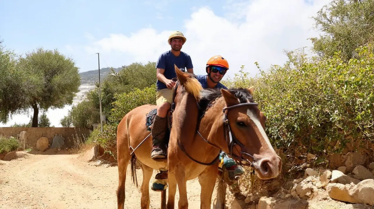 Pinhão Activities: Top 10 Unique Experiences to Enjoy