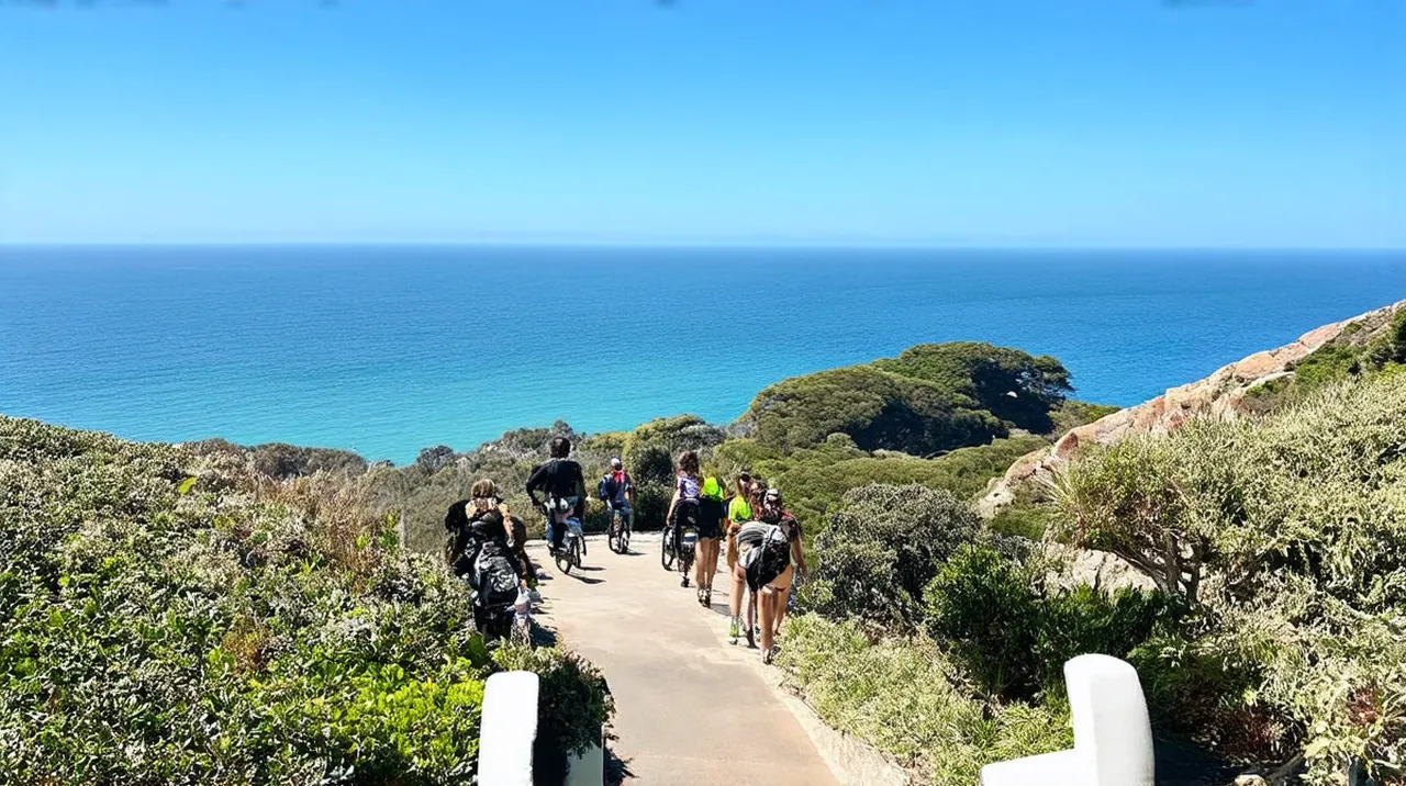 Plettenberg Bay Highlights: 10 Unmissable Experiences