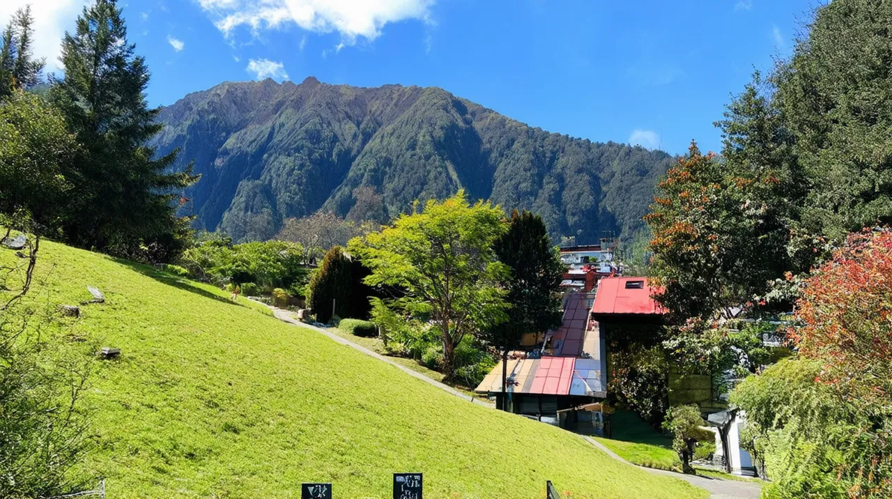 Pucón Highlights: 10 Unmissable Activities in Chile