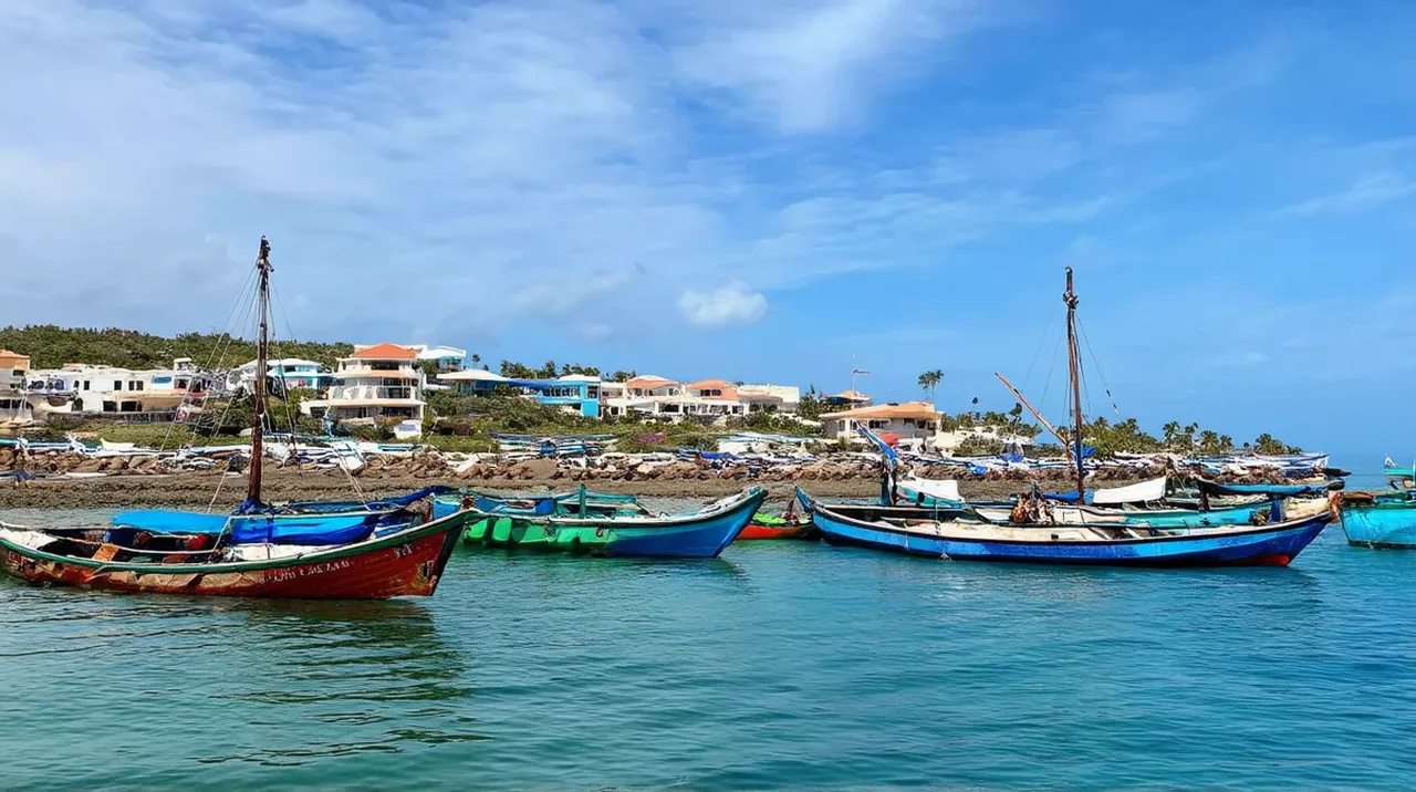 Puerto Jiménez Activities: Top 10 Adventures You Can’t Miss