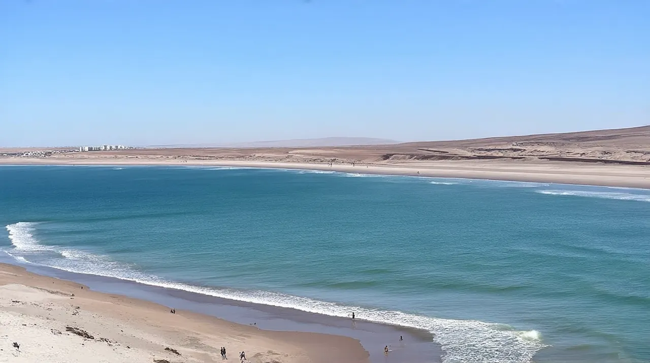 Puerto Madryn Activities: 10 Unforgettable Things to Do