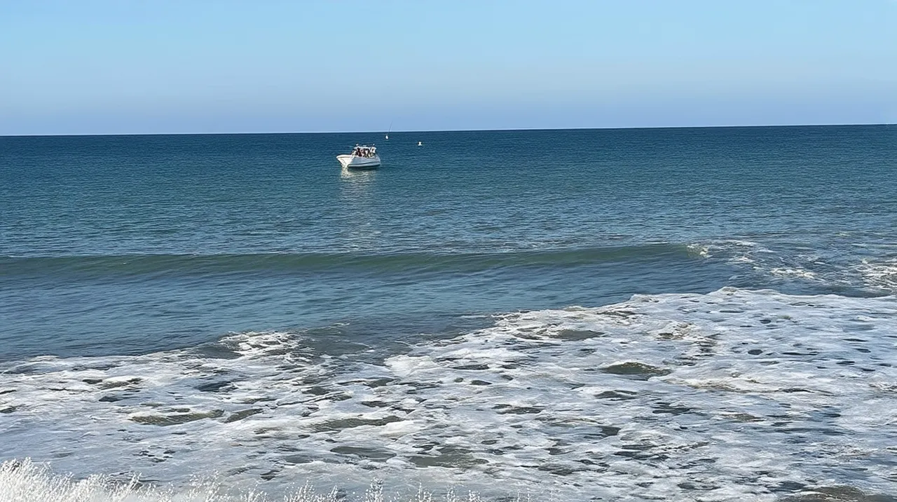 Puerto Madryn Experiences: Unforgettable Adventures Await