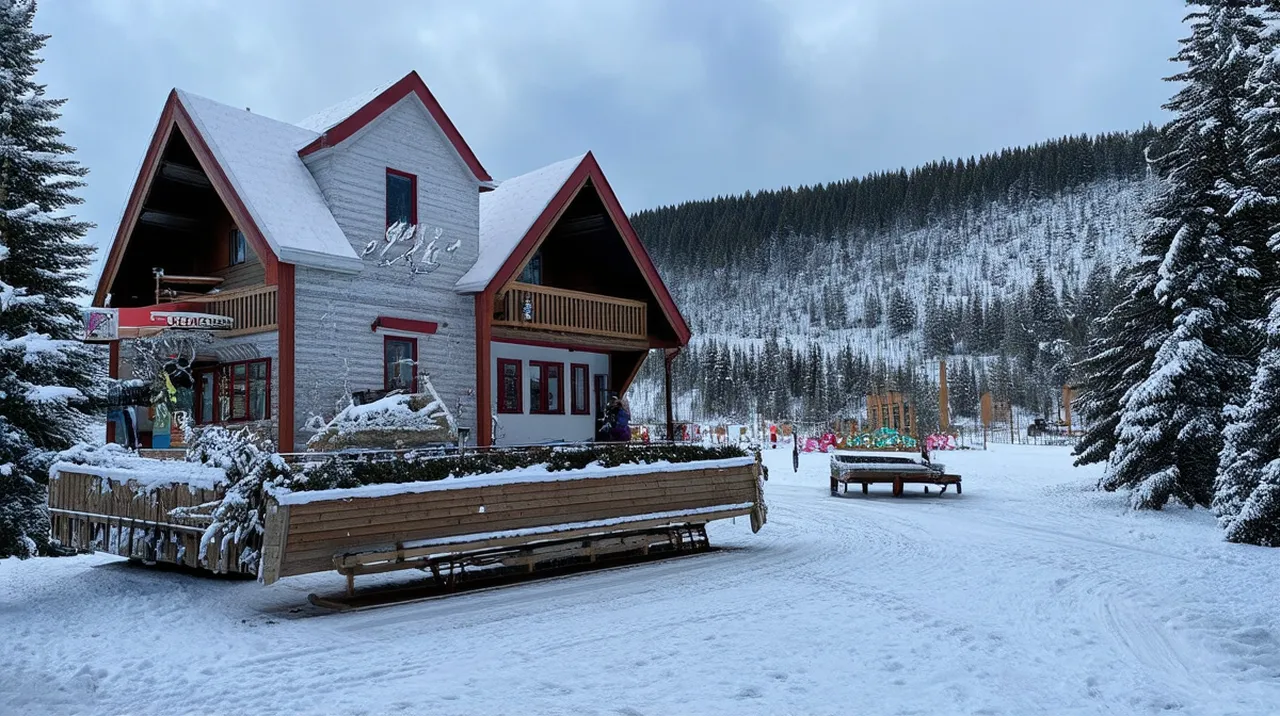 Rovaniemi Experiences: 10 Unforgettable Winter Adventures