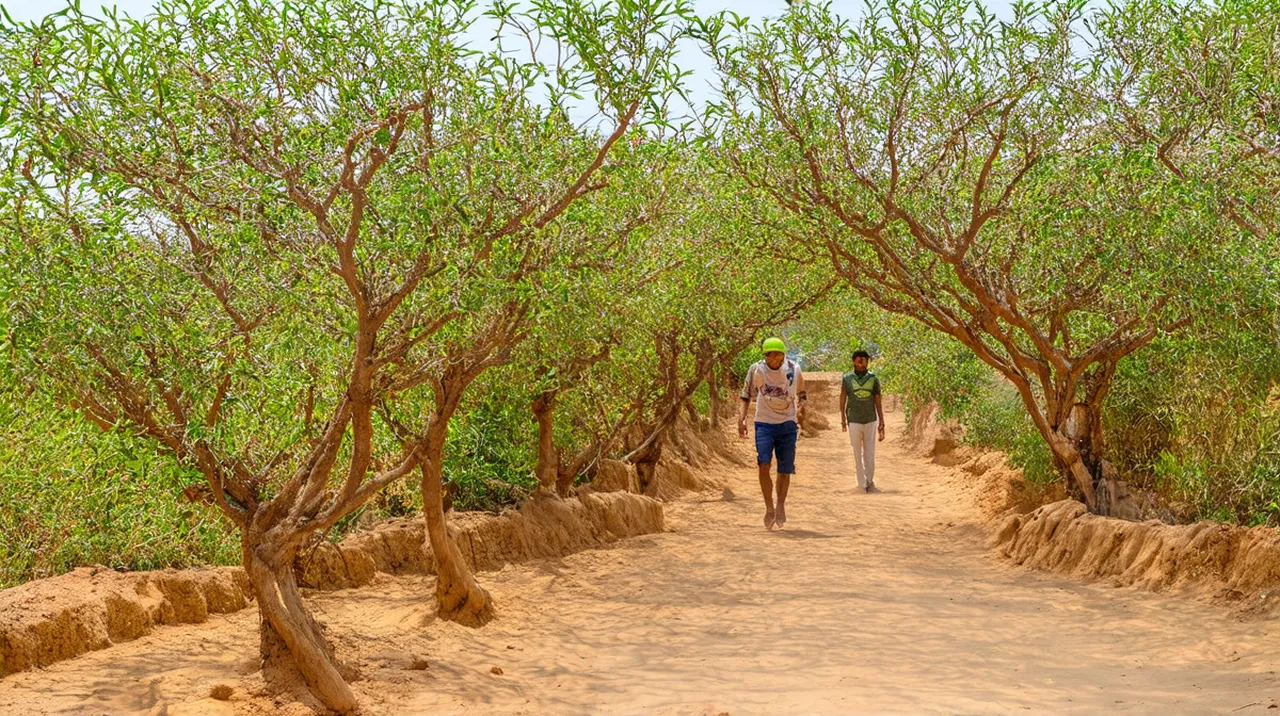 Salalah Activities: Top 10 Unforgettable Experiences