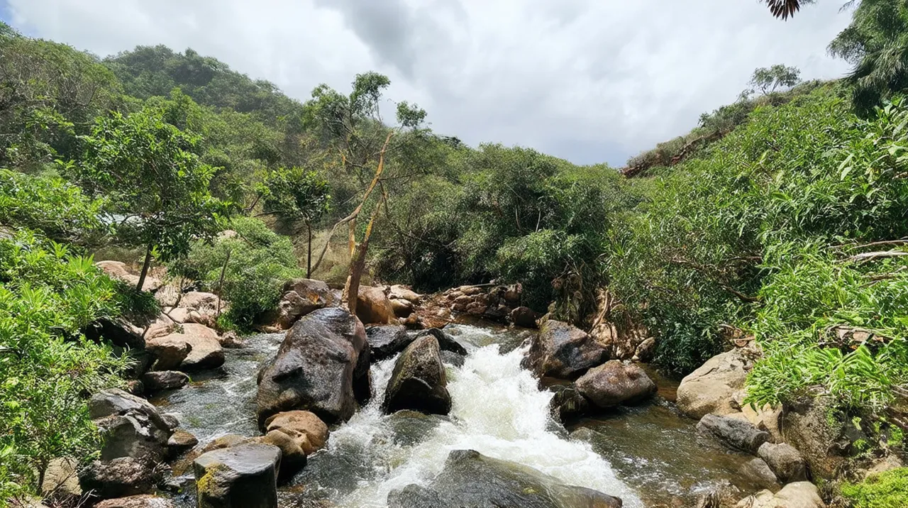 San Ignacio Adventures: Top 10 Thrilling Experiences
