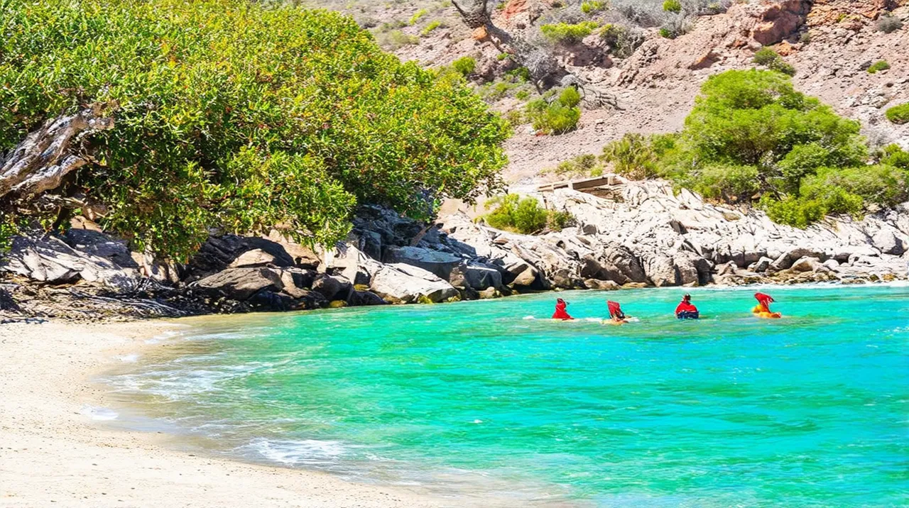Santa Catalina Activities: 10 Unforgettable Experiences