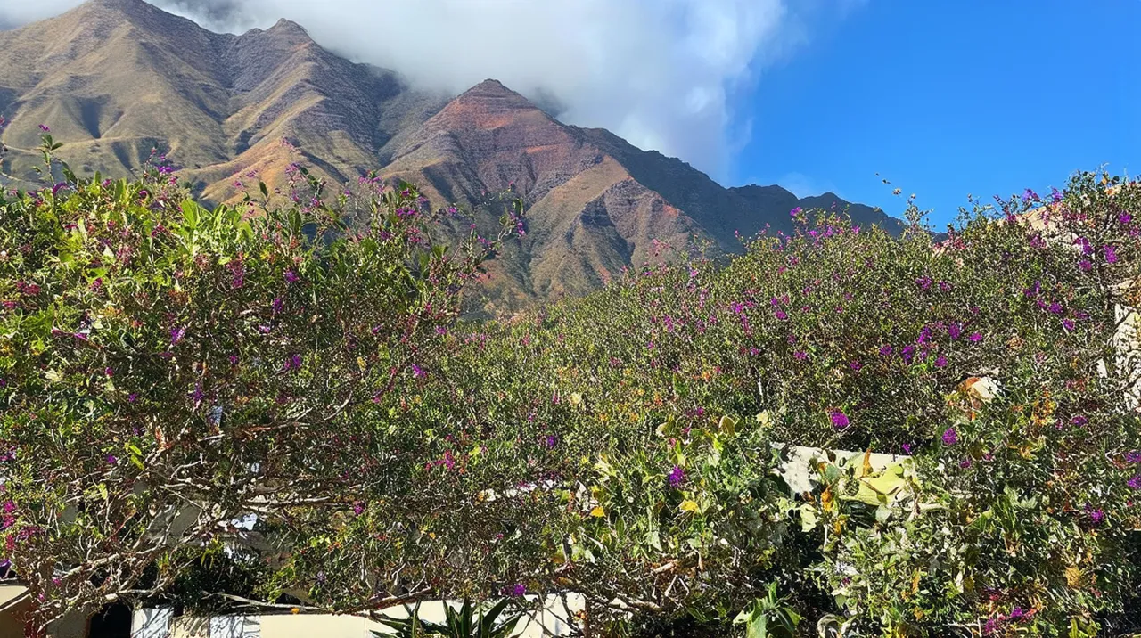 Santa Cruz de la Palma Experiences: Explore Unique Adventures
