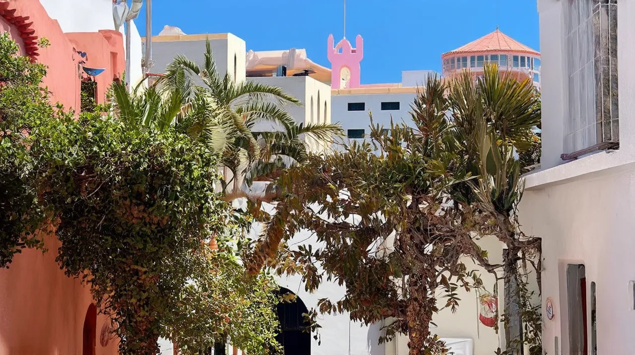 Santa Cruz de Tenerife Culture: 10 Vibrant Experiences