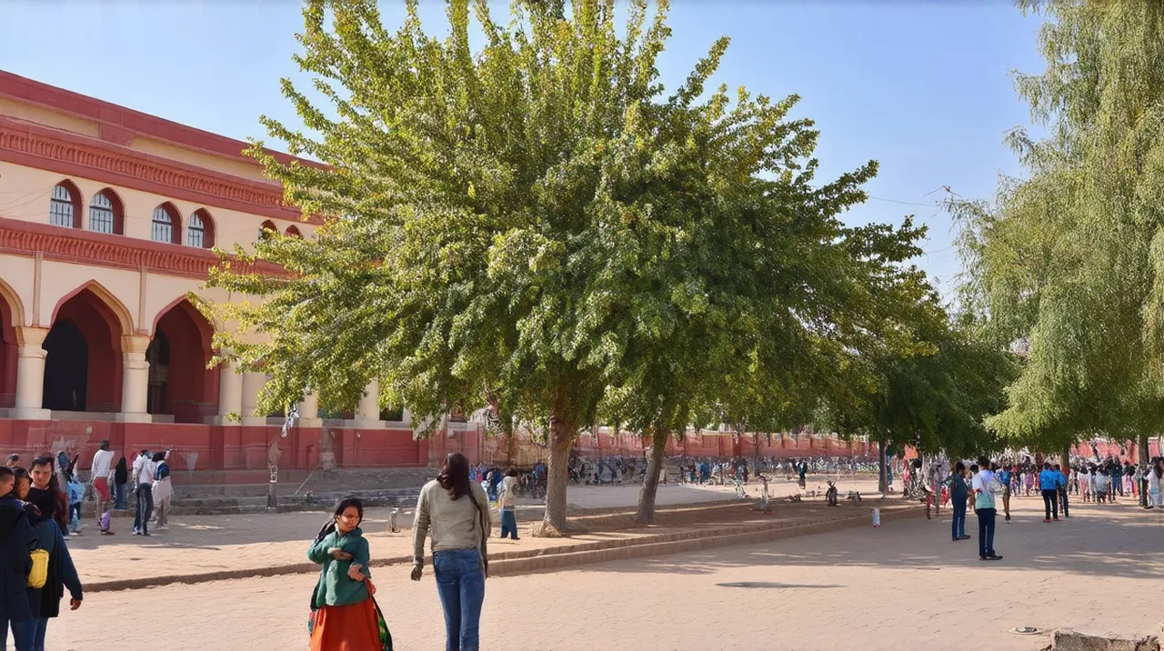 Shymkent Adventures: Uncover the Best 10 Experiences