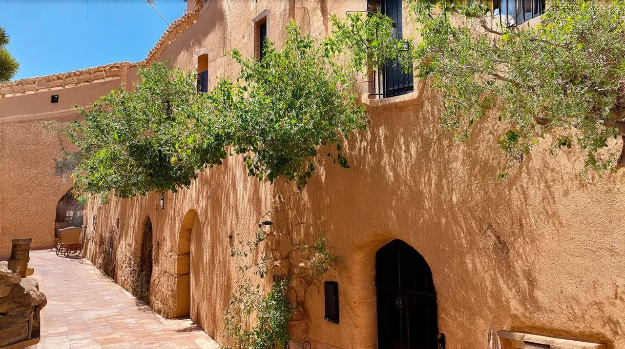 Silves Experiences: Explore the Hidden Gems of Silves