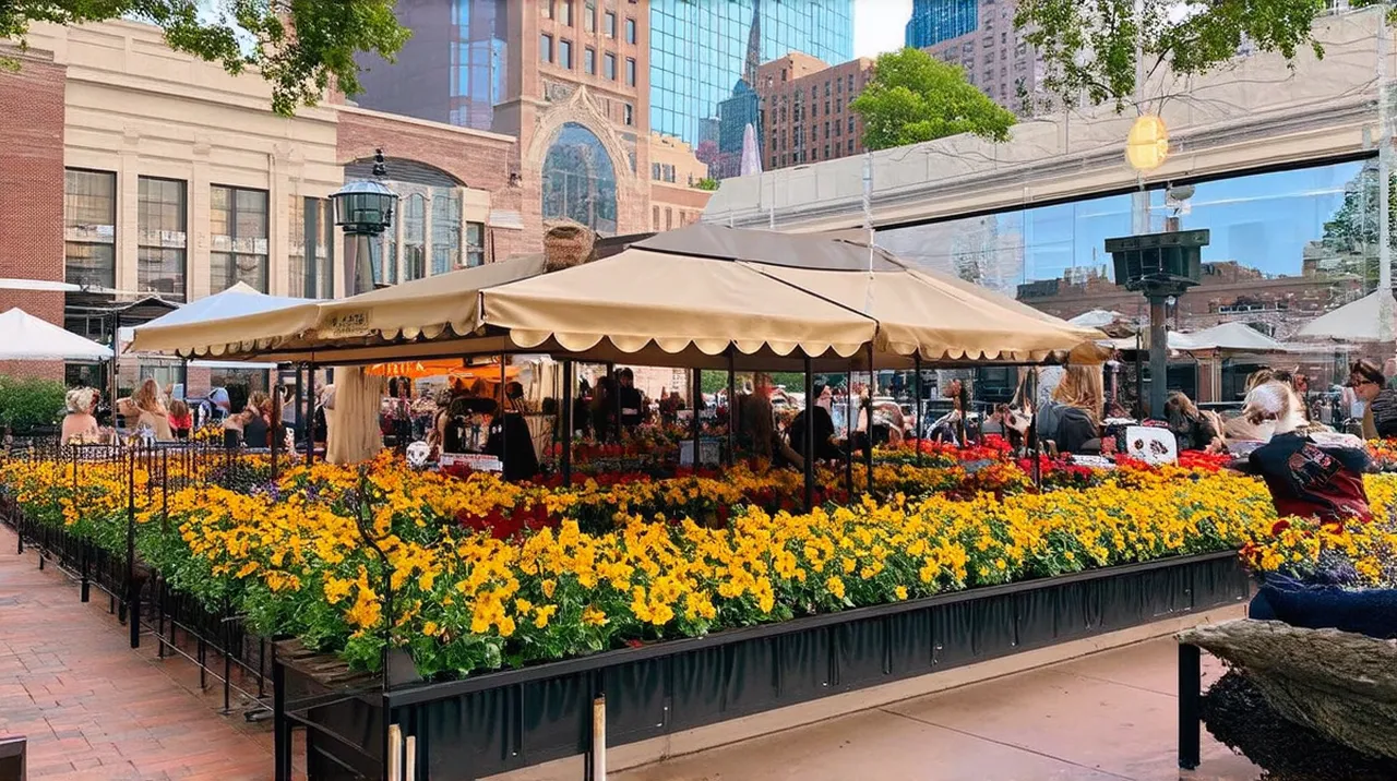 St Louis Experiences: Top 10 Unforgettable Adventures