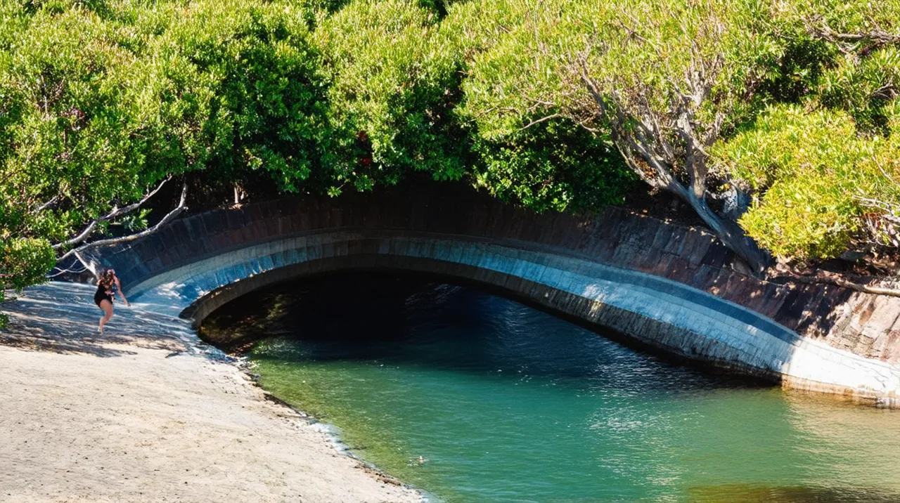 Tauranga Highlights: Must-See Attractions and Experiences