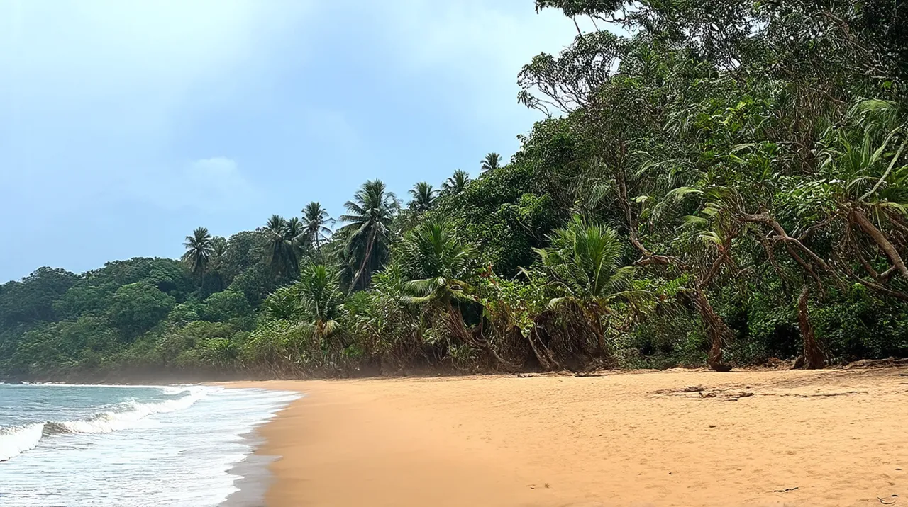 Varkala Experiences: 10 Unique Adventures You Must Try