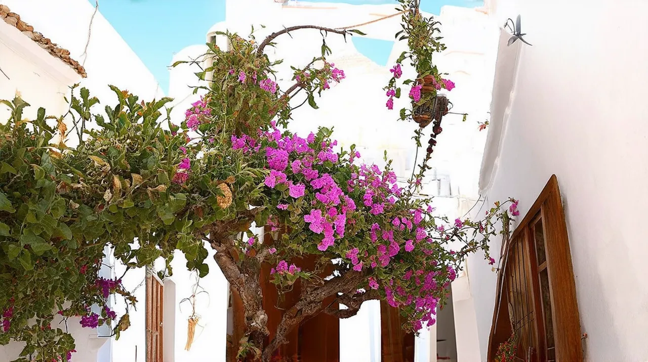 Vejer de la Frontera Culture: Discover Its Rich Heritage