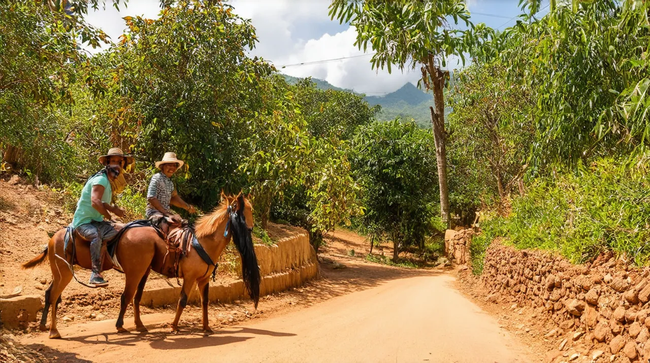 Viñales Activities: Unforgettable Adventures Await