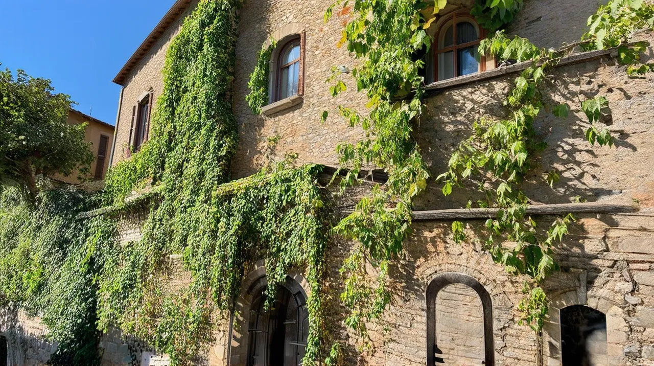 Viterbo Experiences: Top 10 Unforgettable Adventures