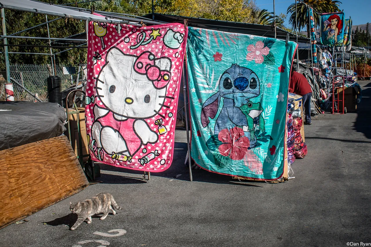 3. Unleashing Your Inner Artist in San José’s Art Walk