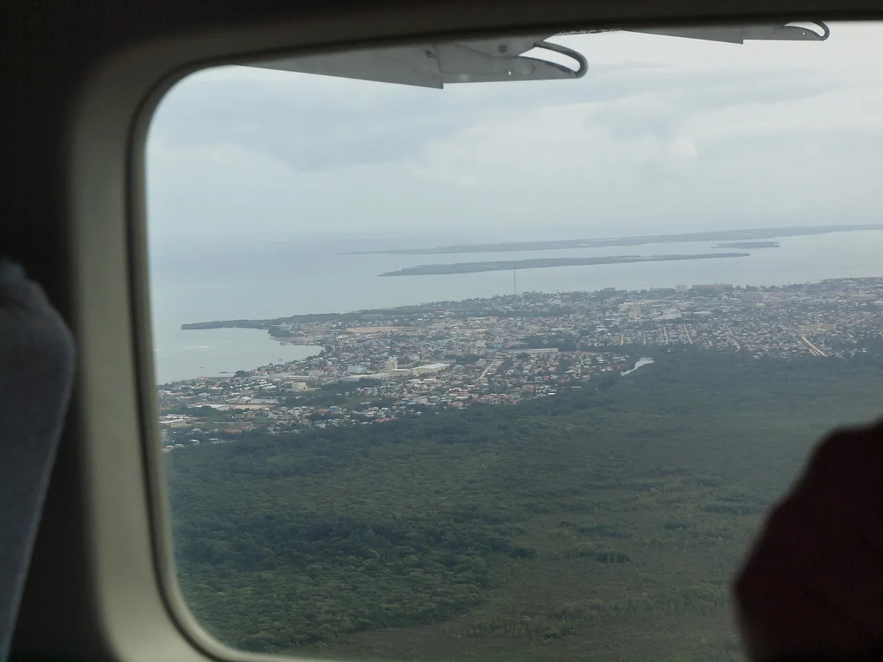4. Visiting the Belize Zoo: Wildlife in the Heart of the City