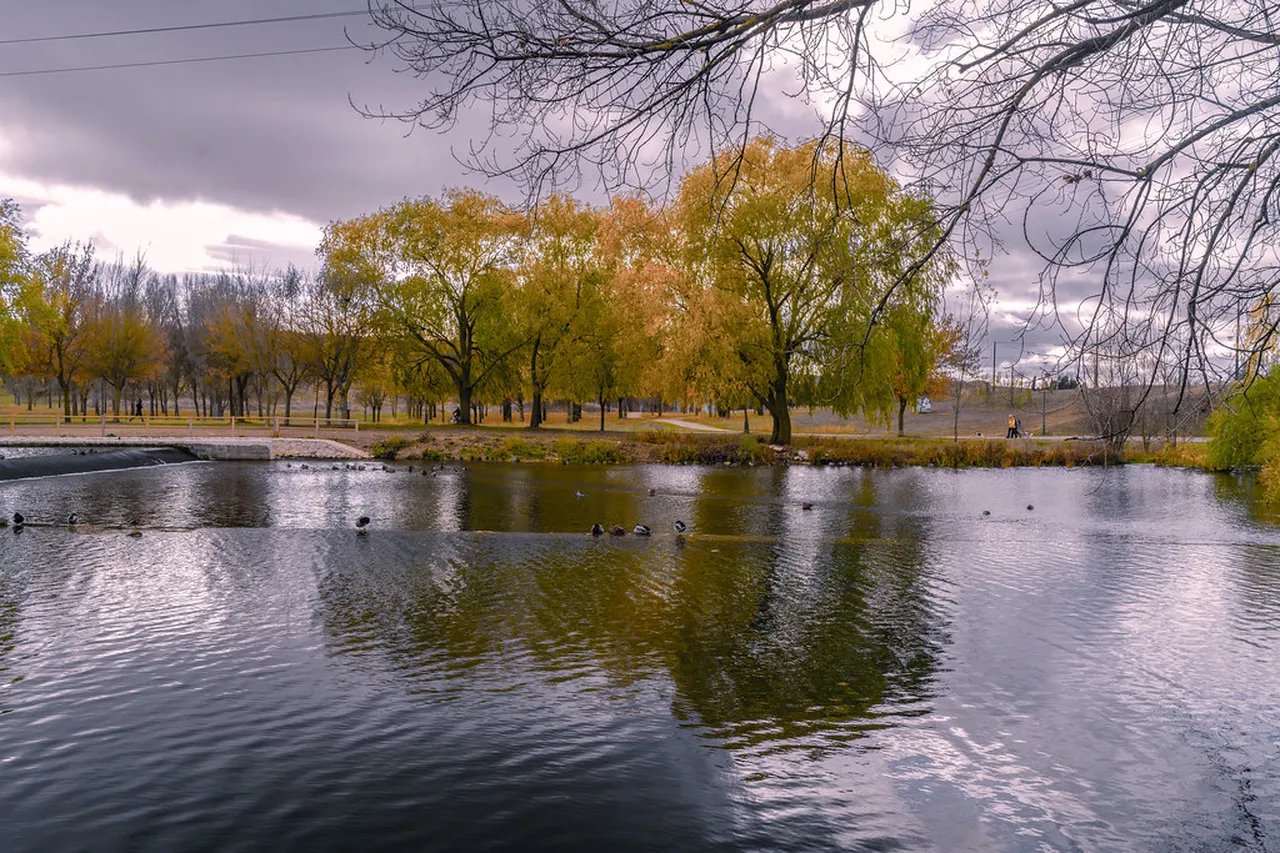 5. Stroll Through the Paseo del Espolón: The Heart of the City