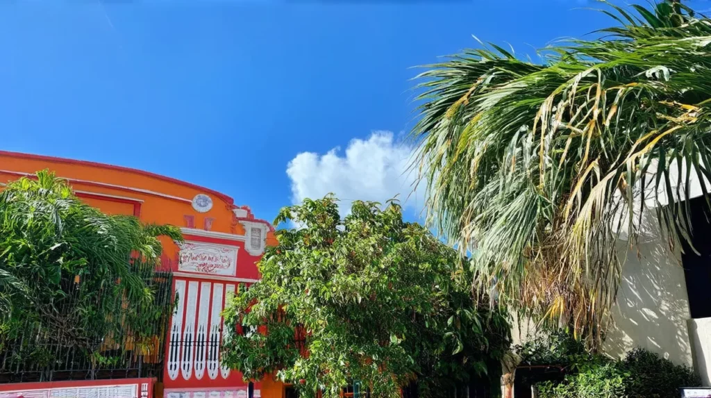 Centro & the Mainland Culture