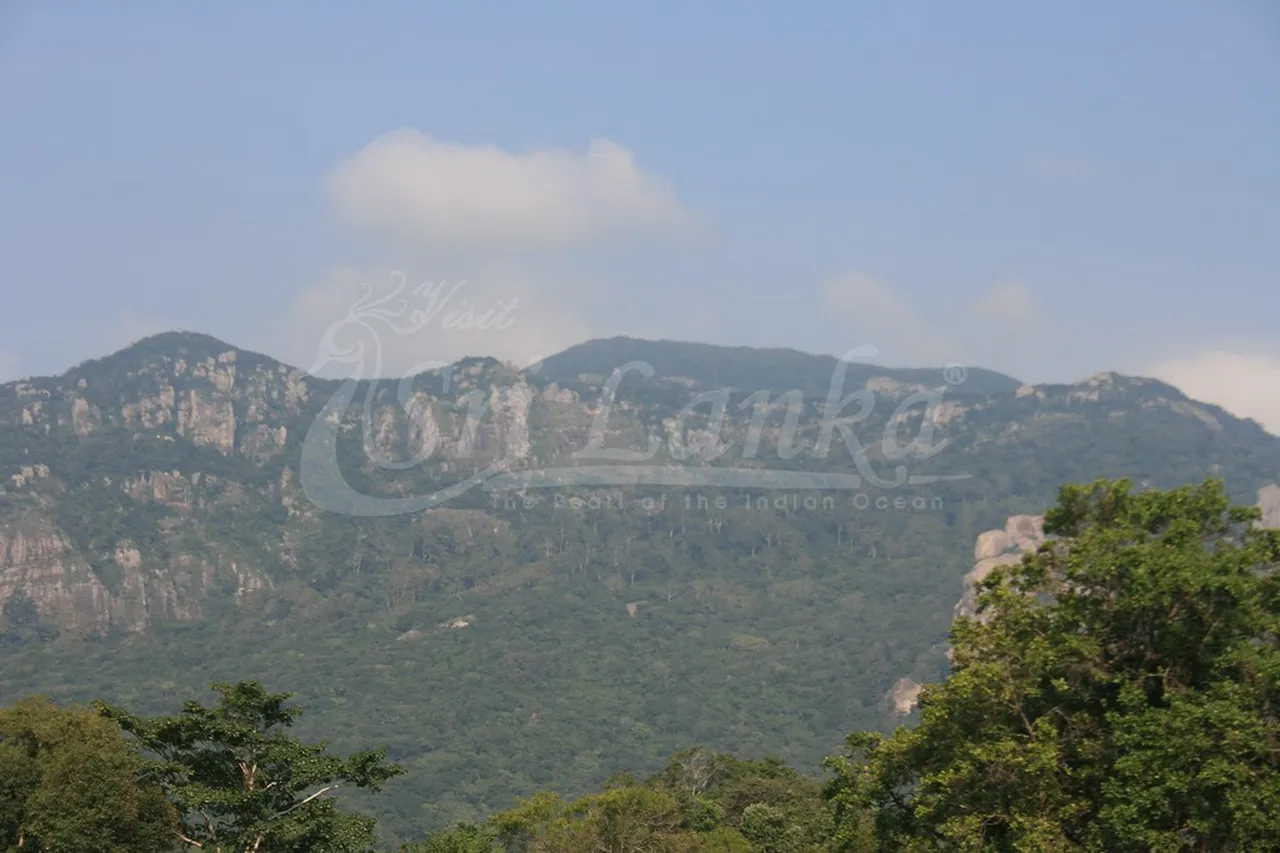 3. Engaging with Local Culture: Traditional Craft Markets in Dambulla