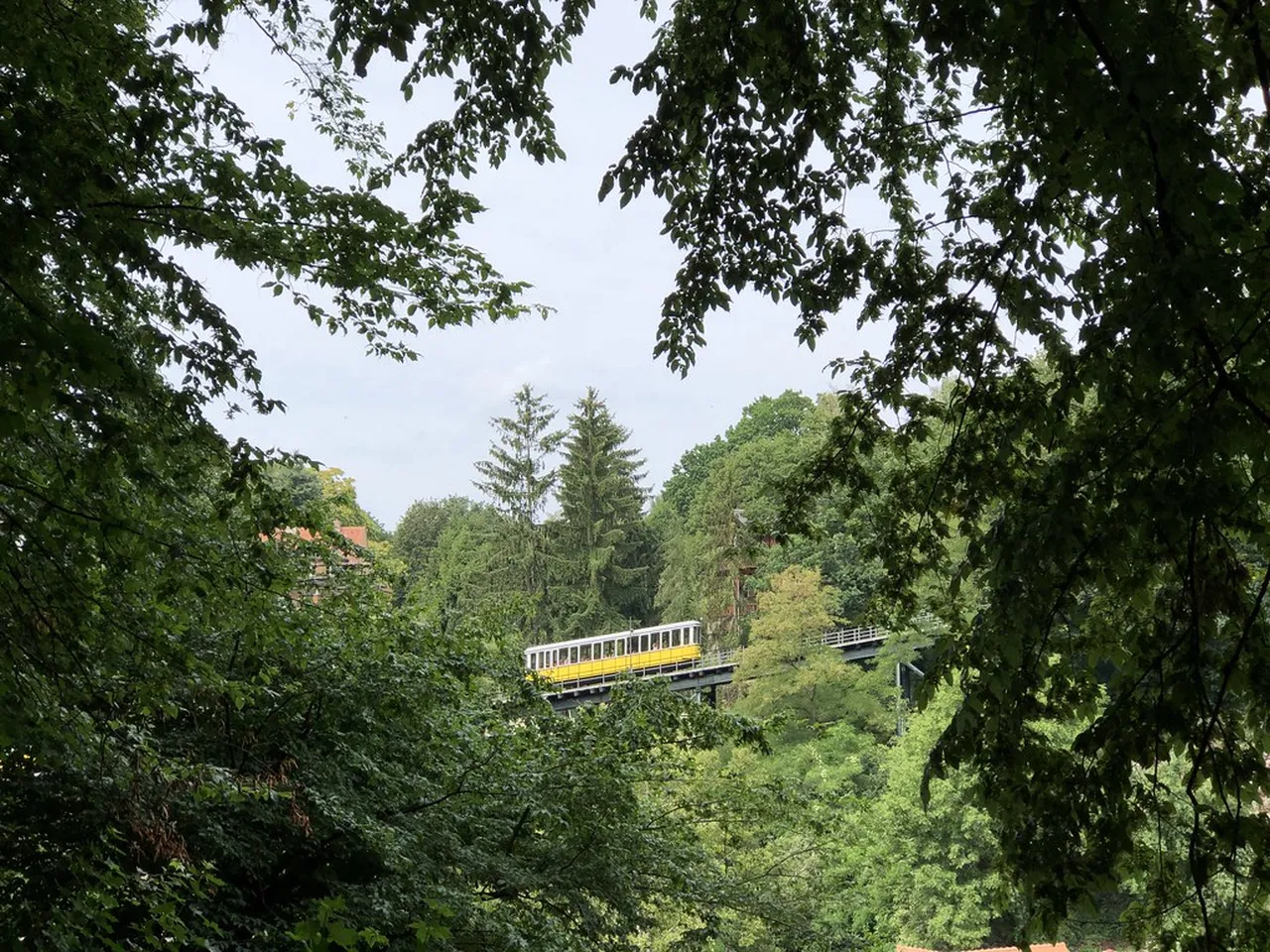 5. Enjoying Scenic Views from the Dresden Elbe River Cruise