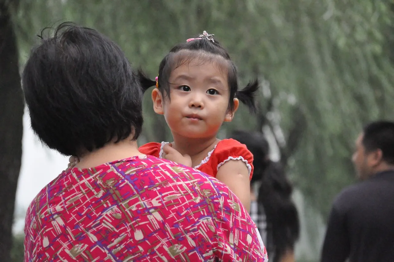 3. Exploring the Longjing Tea Fields: A Taste of Tradition