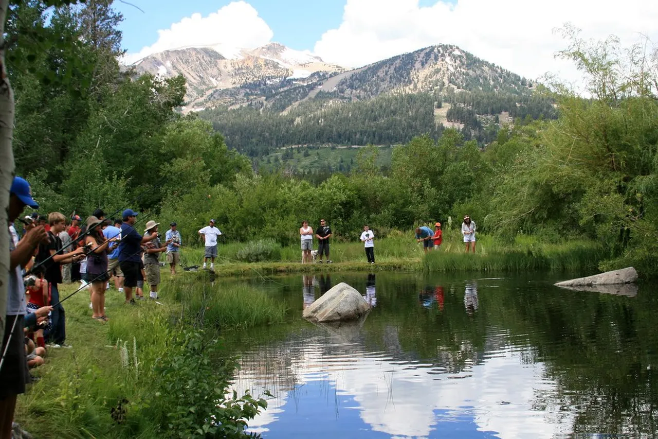 2. Discover the Mammoth Lakes Music Festival: A Celebration of Sounds