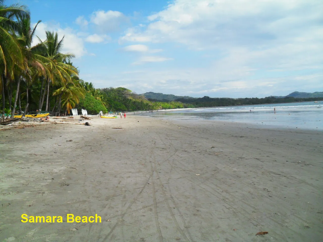 1. Surfing at Playa Sámara: Ride the Gentle Waves