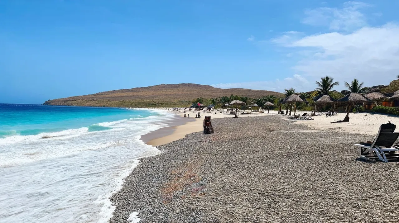 Playa Sámara Experiences