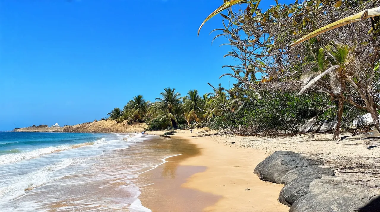 Playa Sámara Highlights