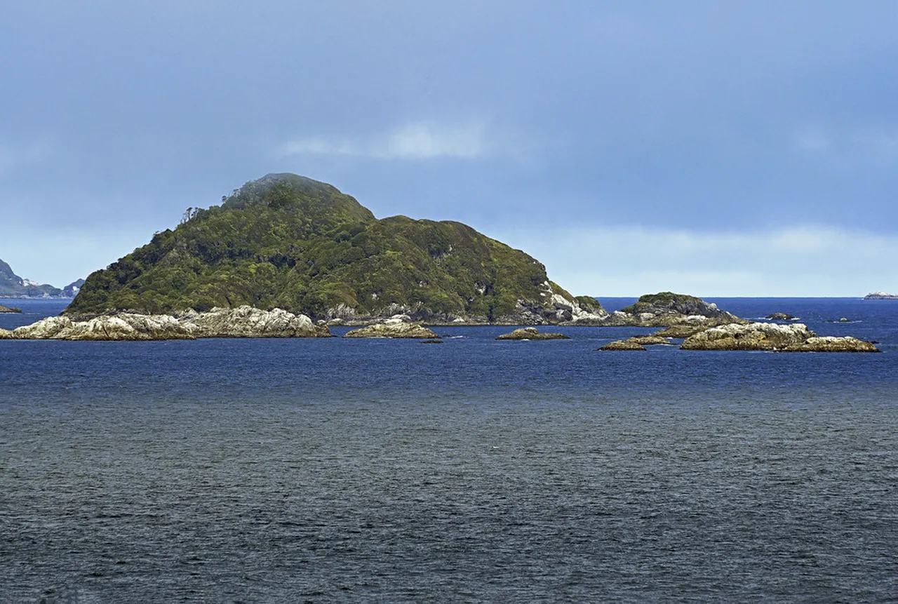 2. Kayaking Through the Stunning Fjords: An Adventure in Puerto Natales