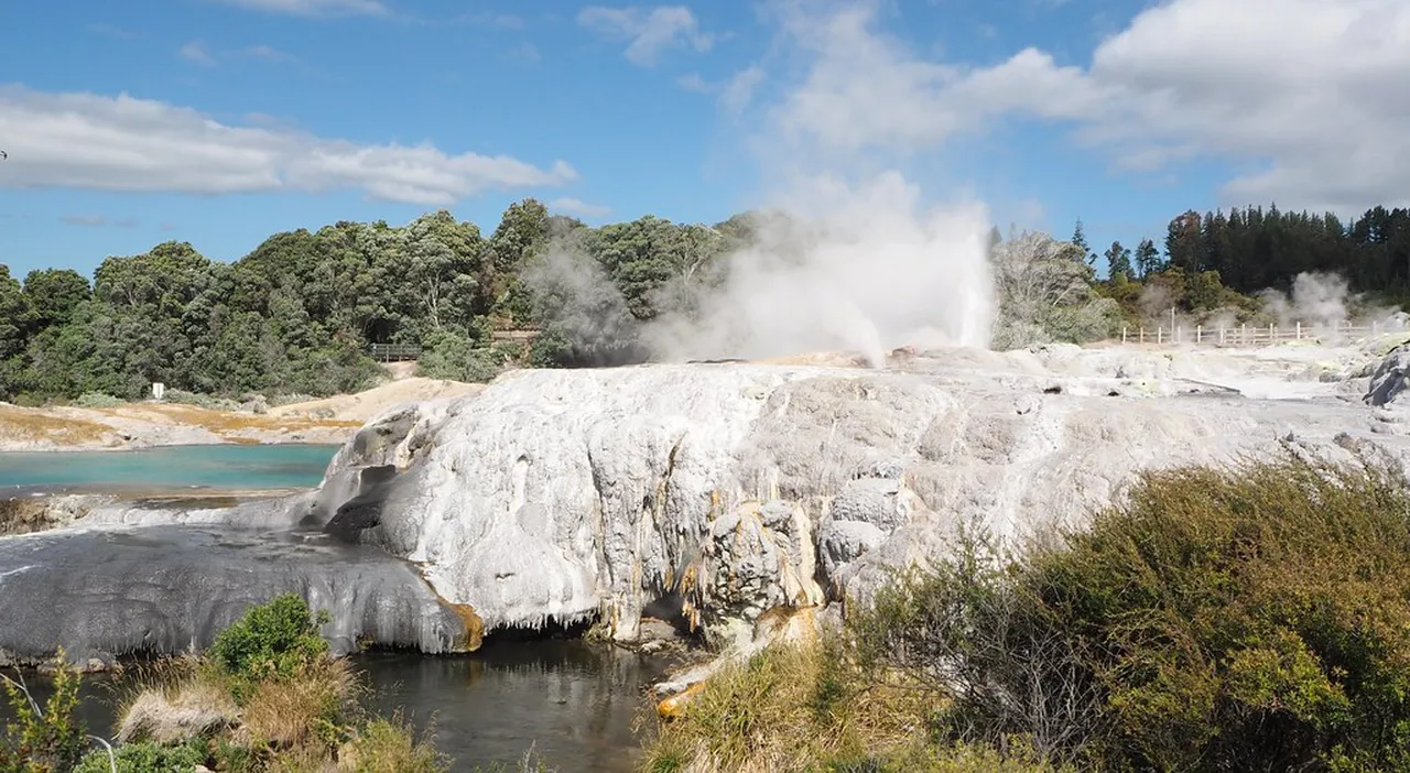 5. Explore Redwood Trees at the Rotorua Redwoods