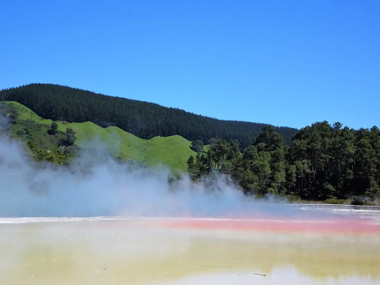 2. Discover Maori Culture: A Traditional Hangi Feast Experience