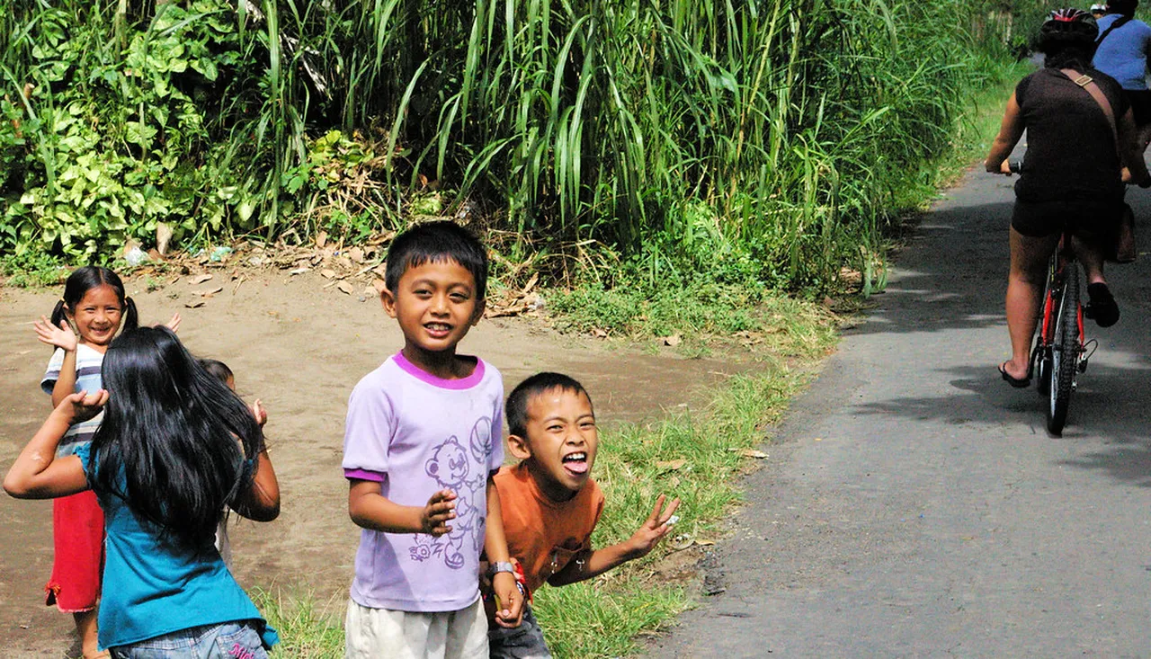 2. Culinary Adventures: Authentic Balinese Cuisine